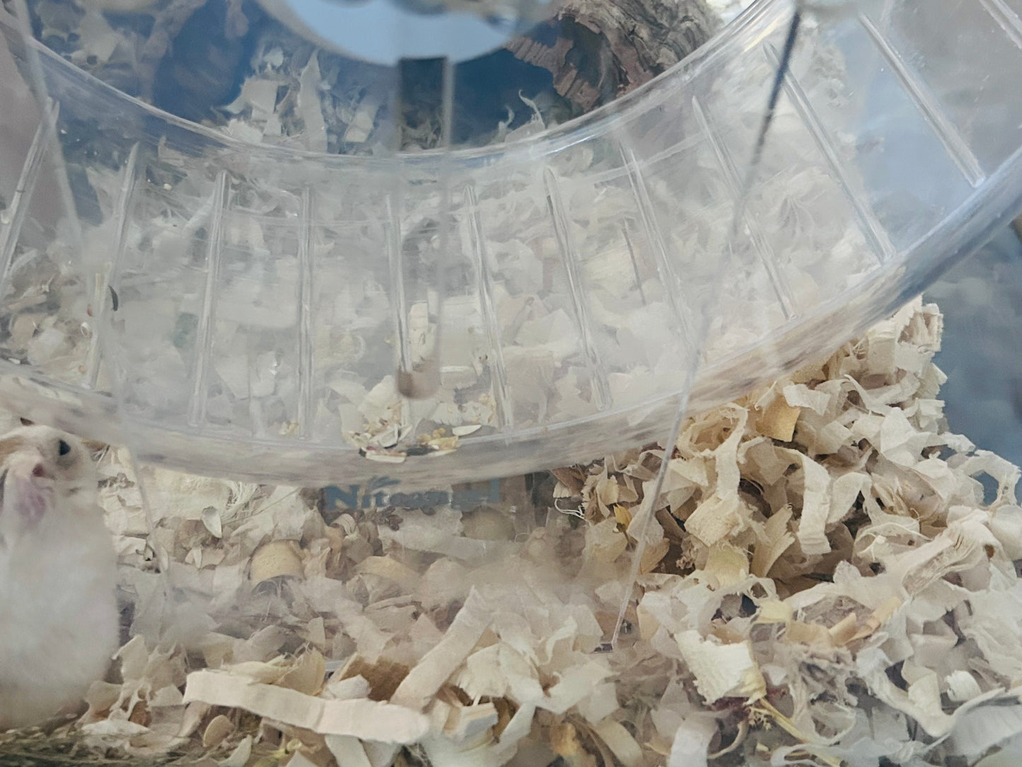 Shredded unbleached tissue bedding