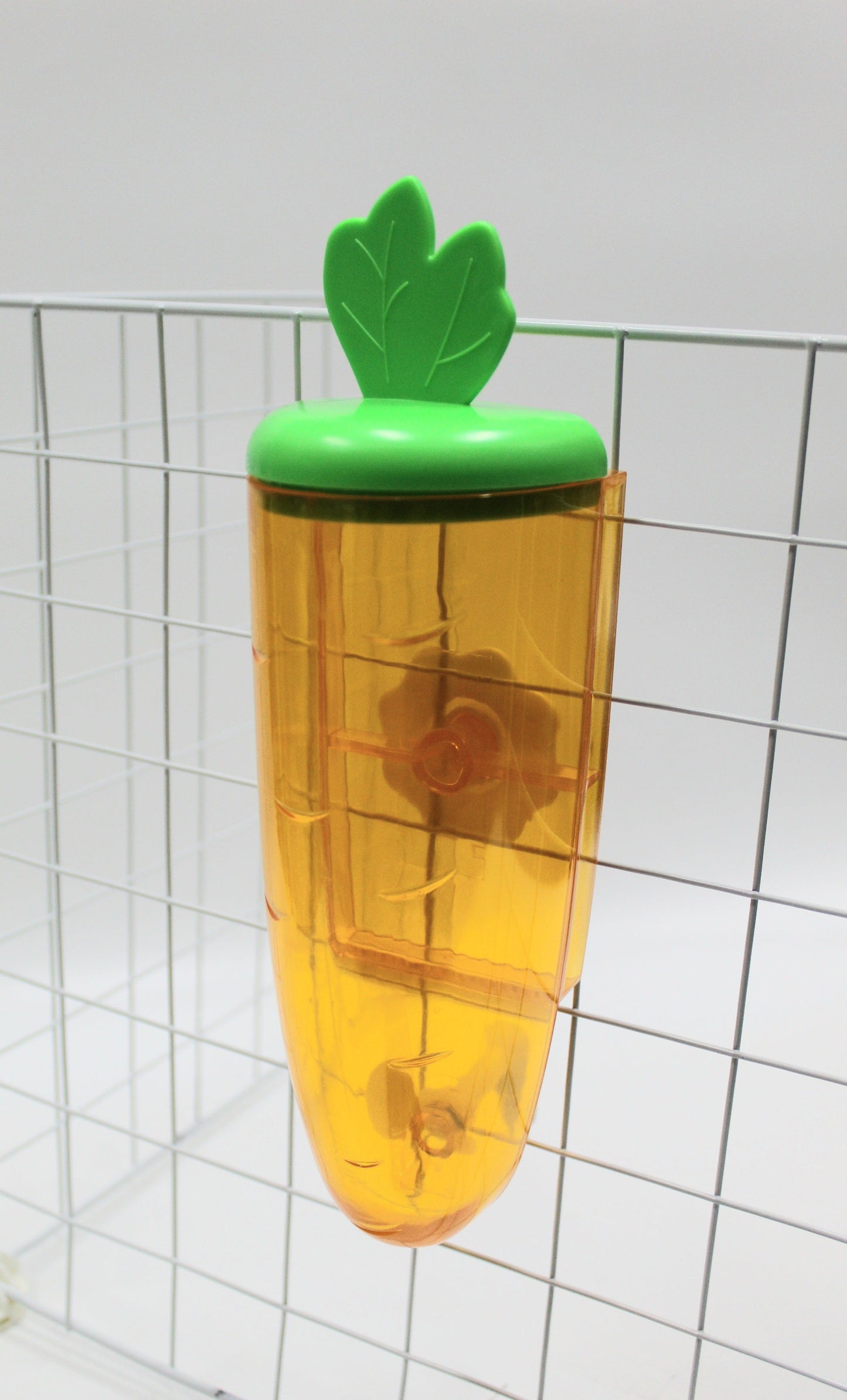 Carrot Sippy Bottle