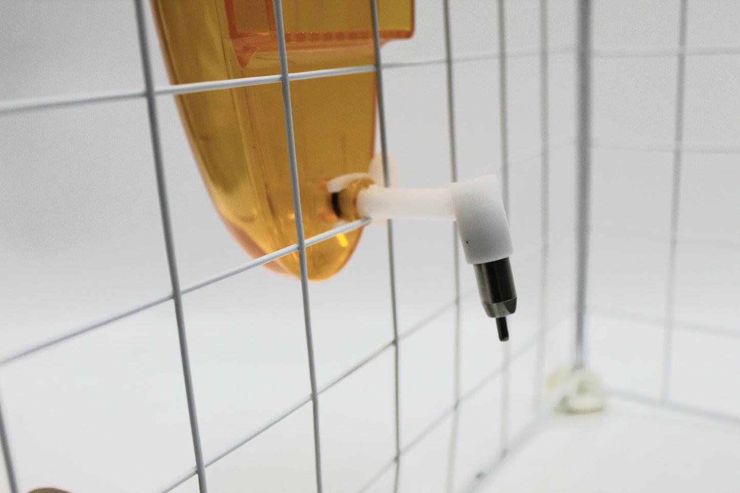 Carrot Sippy Bottle