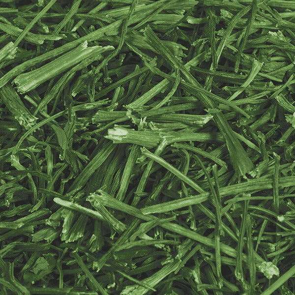 Parsley Stalks