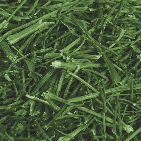 Parsley Stalks