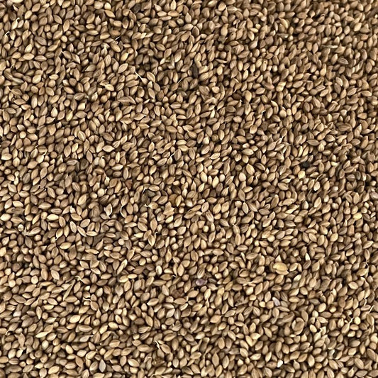 Organic Foniopaddy (Bird seed for birds)
