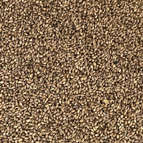 Organic Foniopaddy (Bird seed for birds)