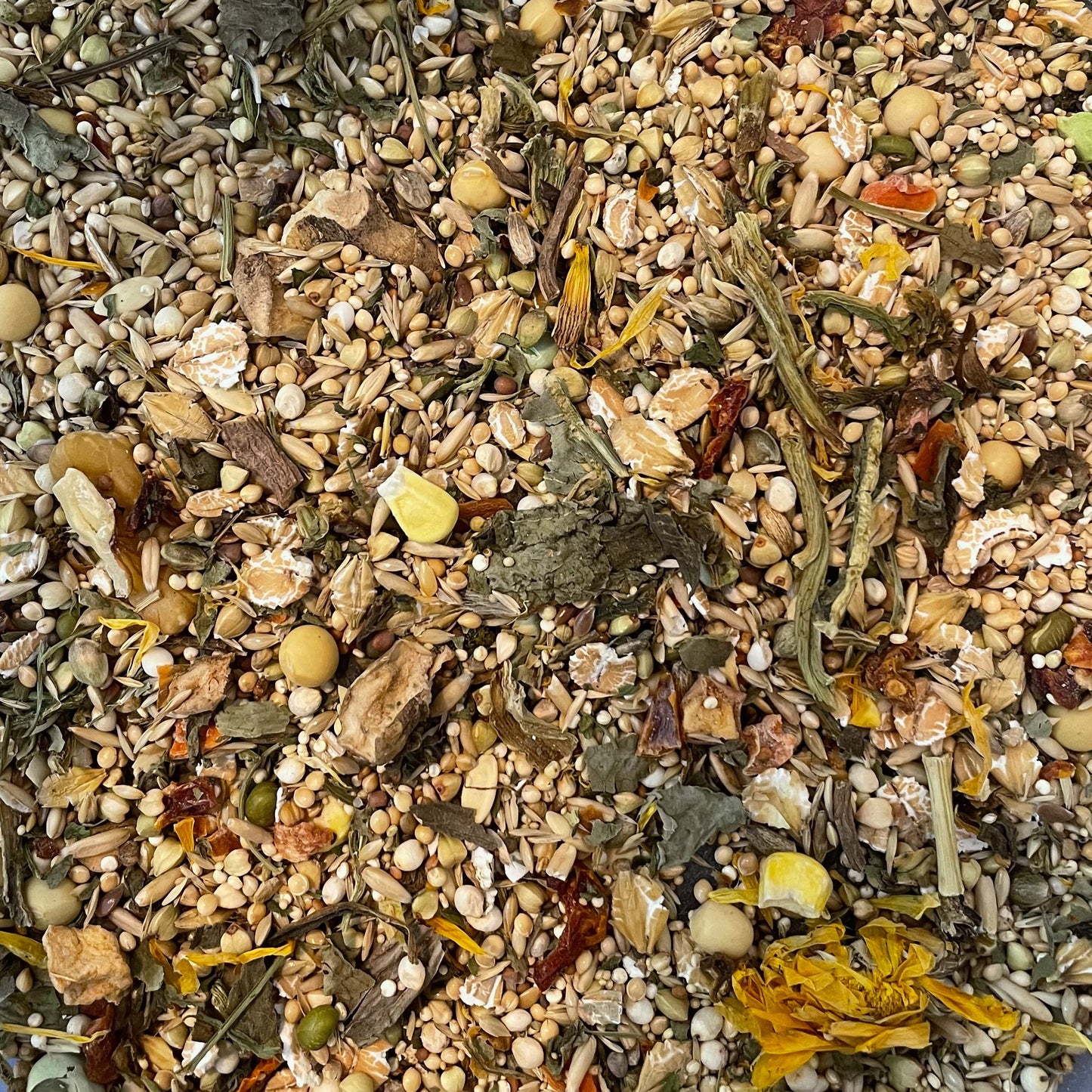 FP Originals' Renal Seed Mix (Syrians)