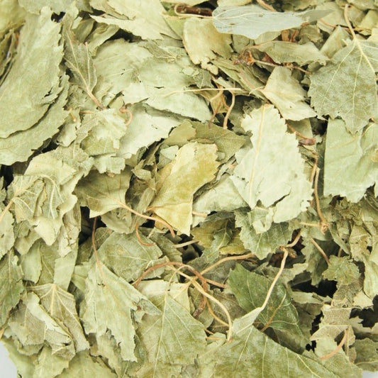 Birch Leaves