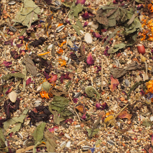 Low Sugar Seed Mix (Dwarves/Robo)