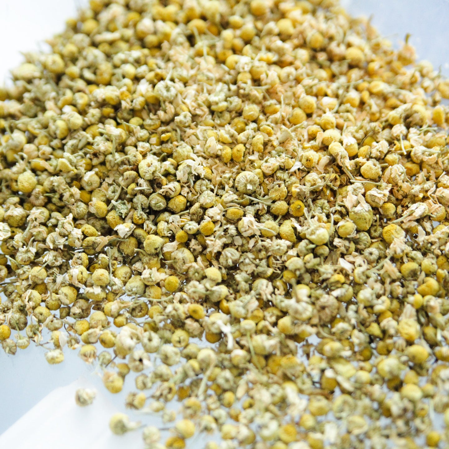 Organic chamomile flowers