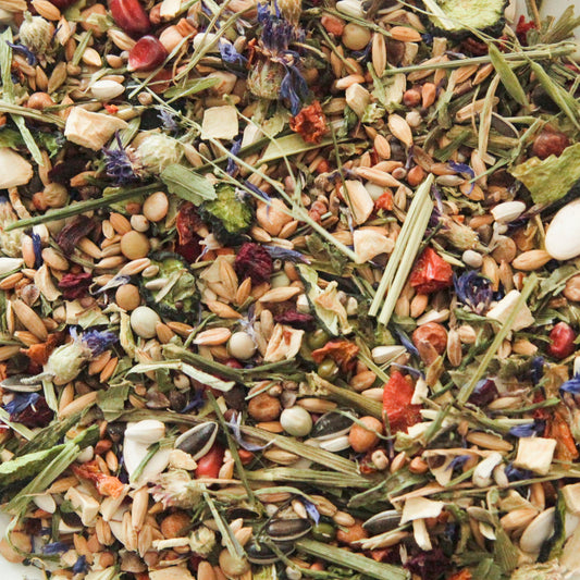 Fatpouches' Foraging Seed Mix (Syrians)