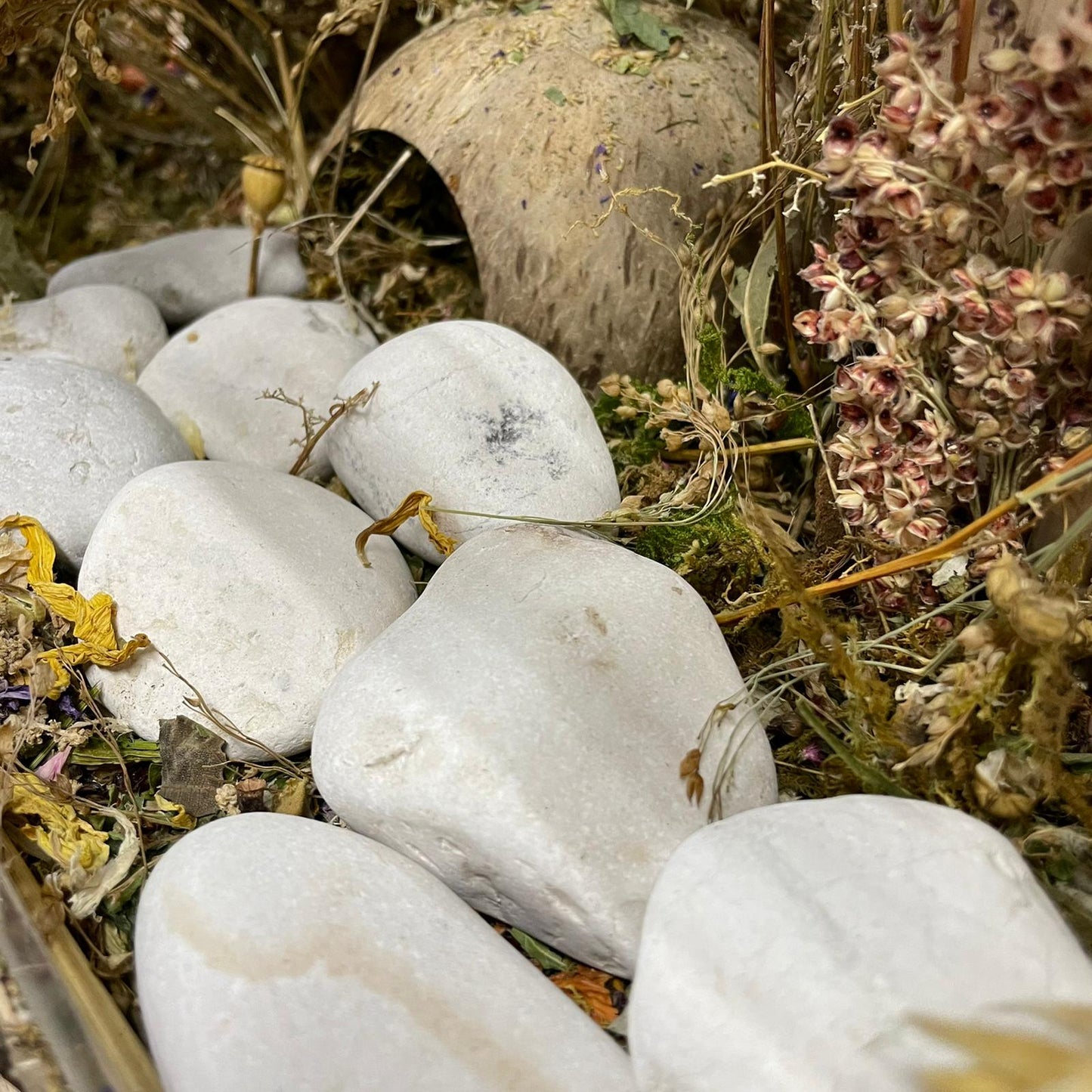 White Pebbles