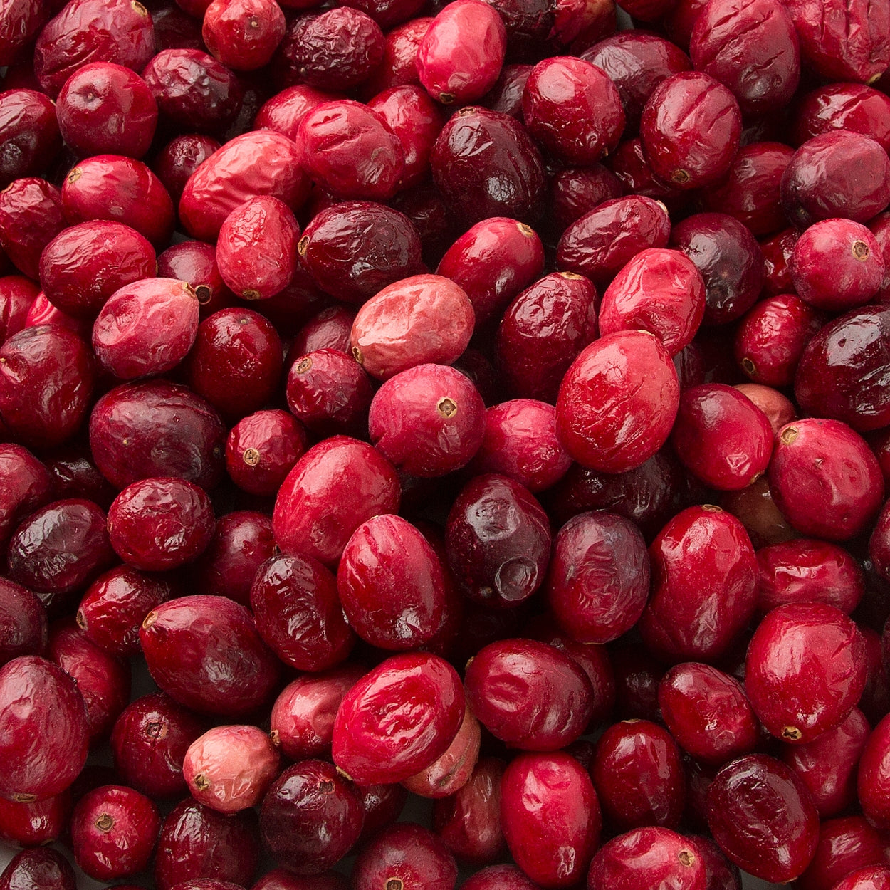 Freeze Dried Cranberries