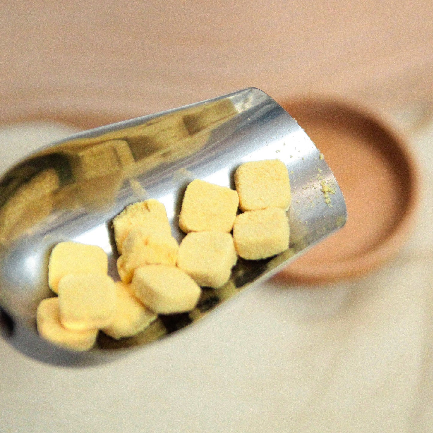 Freeze Dried Pumpkin Tofu