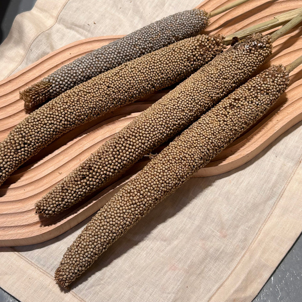 Organic Pearl Millet Sprays