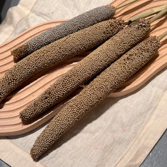 Organic Pearl Millet Sprays