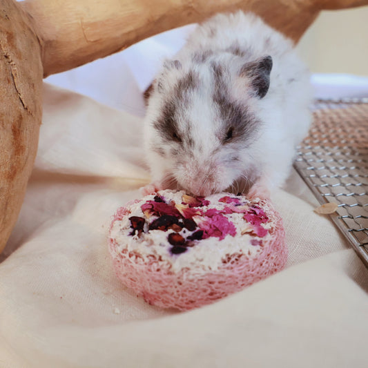 Roseberry Yogurt Loofah