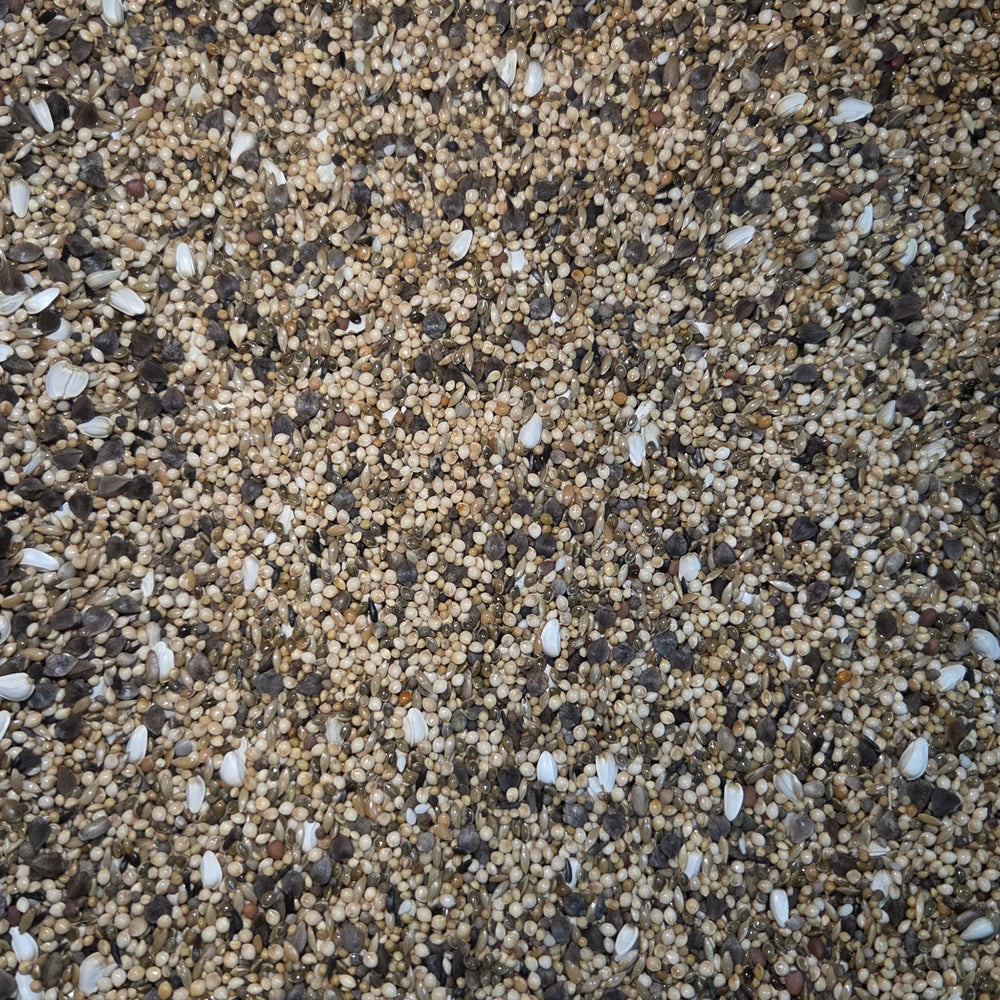 Dwarf Basic Mix (Dwarf)