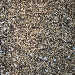 Dwarf Basic Mix (Dwarf)