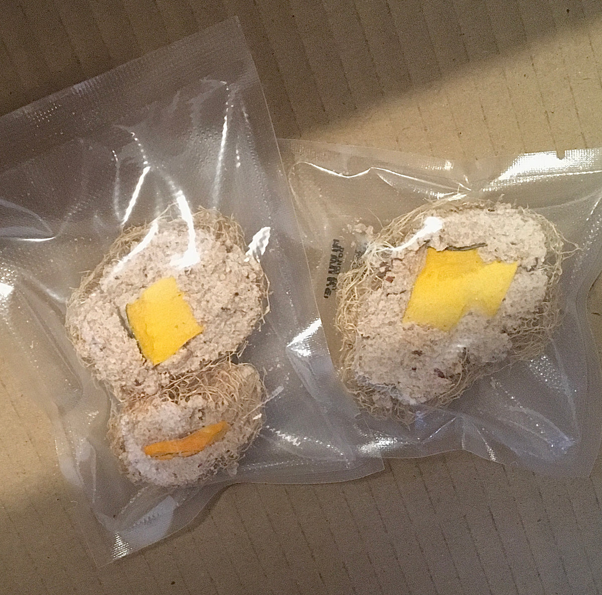 Pumpkin Loofah