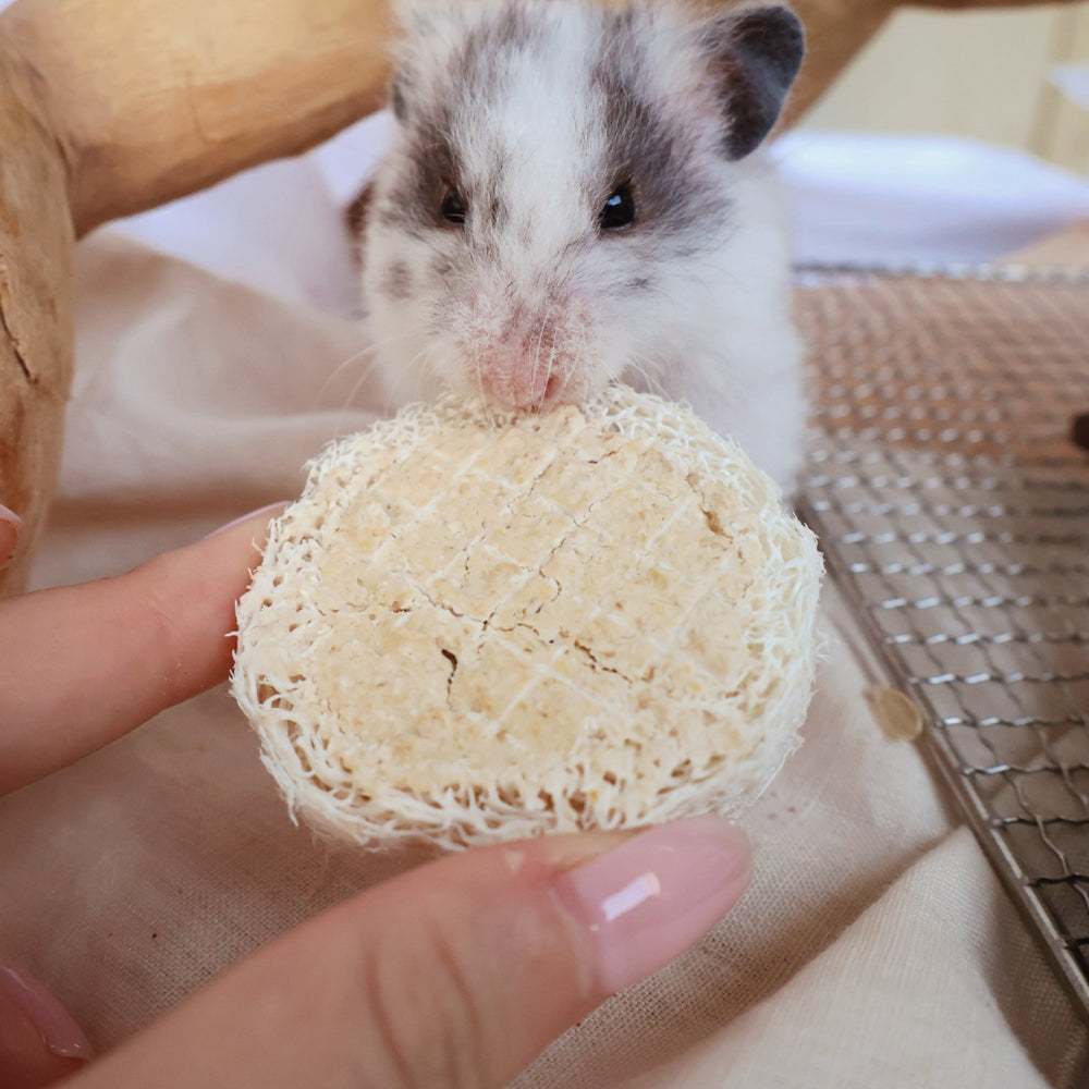 Goat Yogurt Loofah