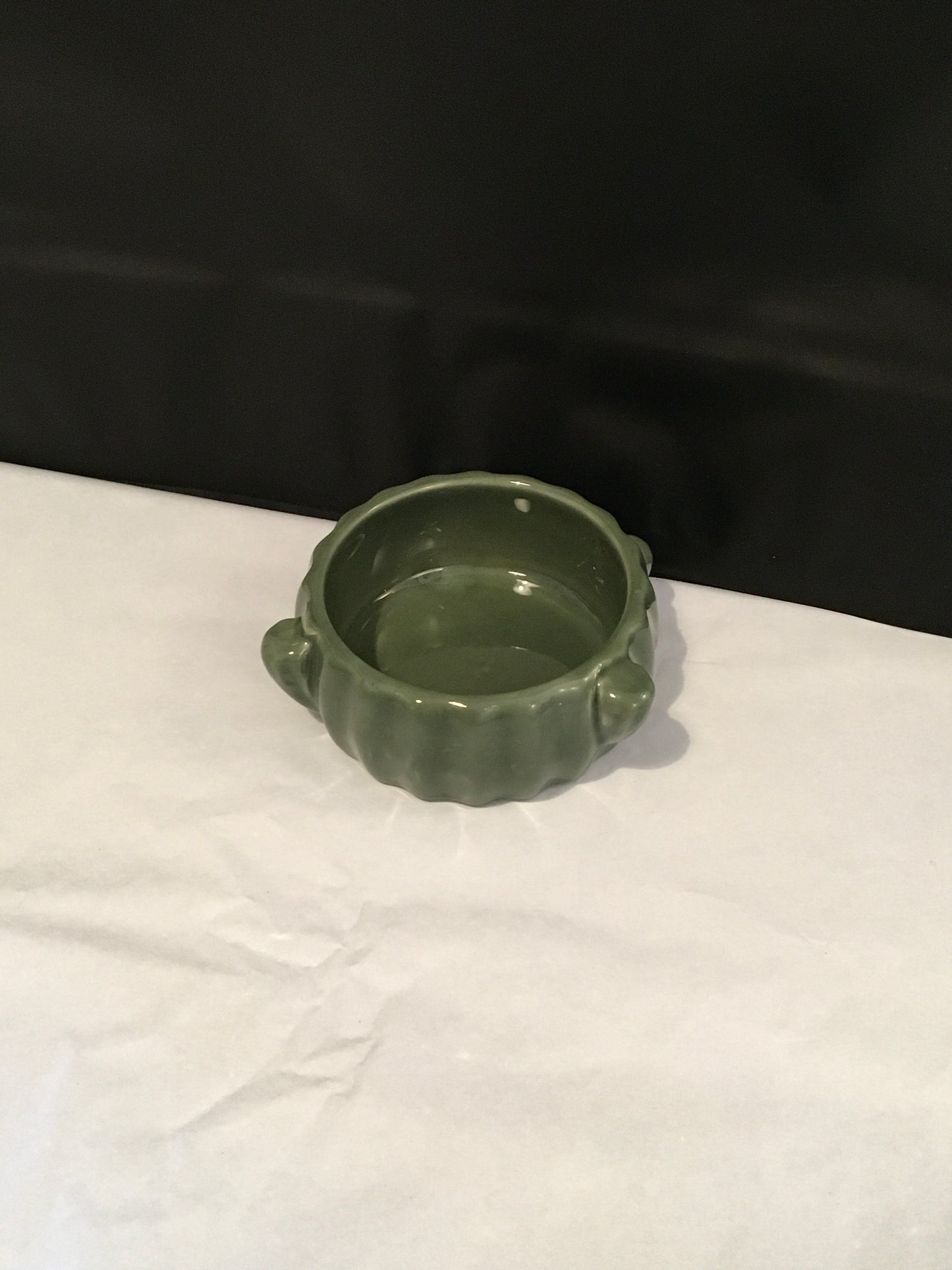 Preloved Green Ceramic Cactus Food Bowl