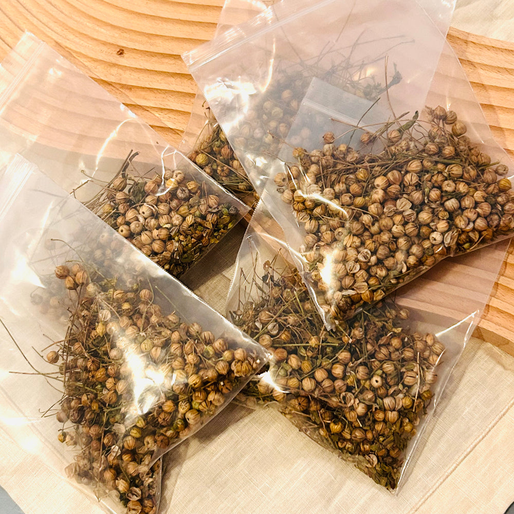 Flax bulbs