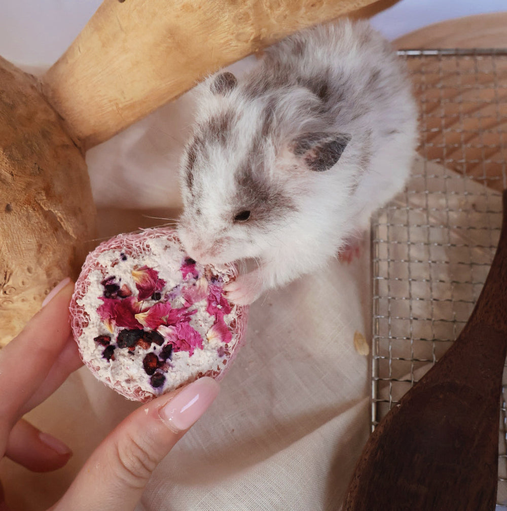 Roseberry Yogurt Loofah