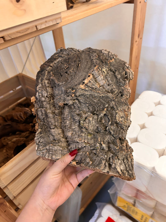 Medium Cork Flat