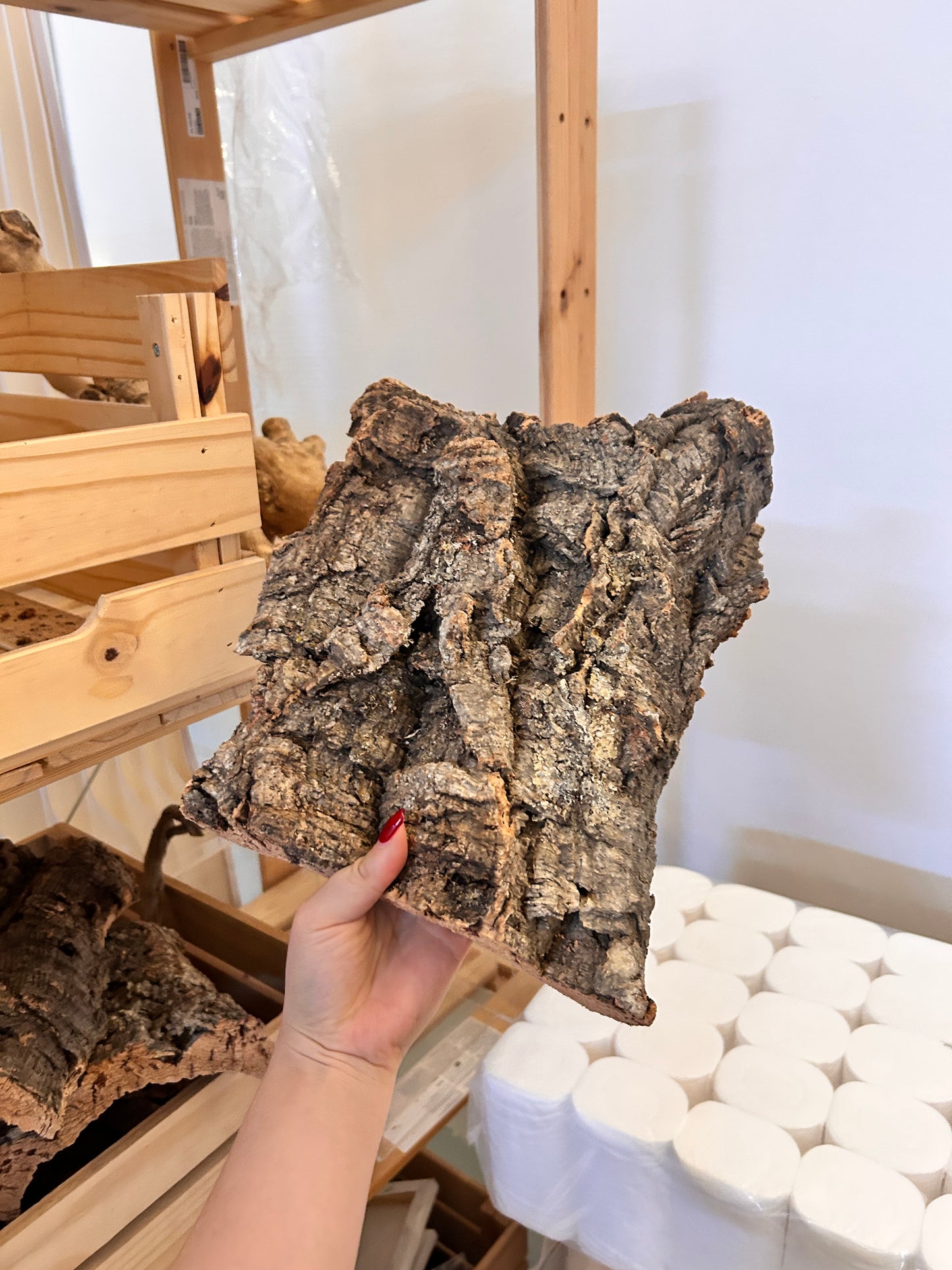 Medium Cork Flat
