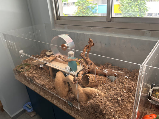 Hamster enclosure hotsell