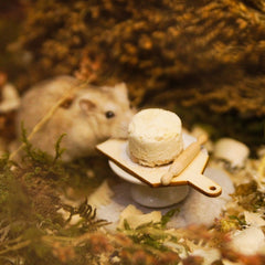 Round Tofu Cheesecake