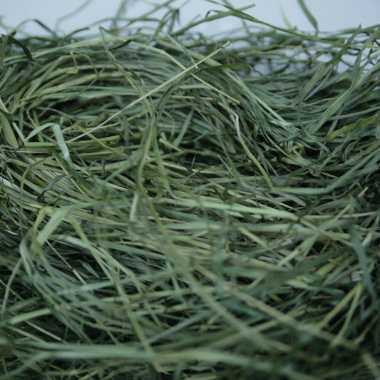 Premium Dehydrated First-Cut Timothy Hay