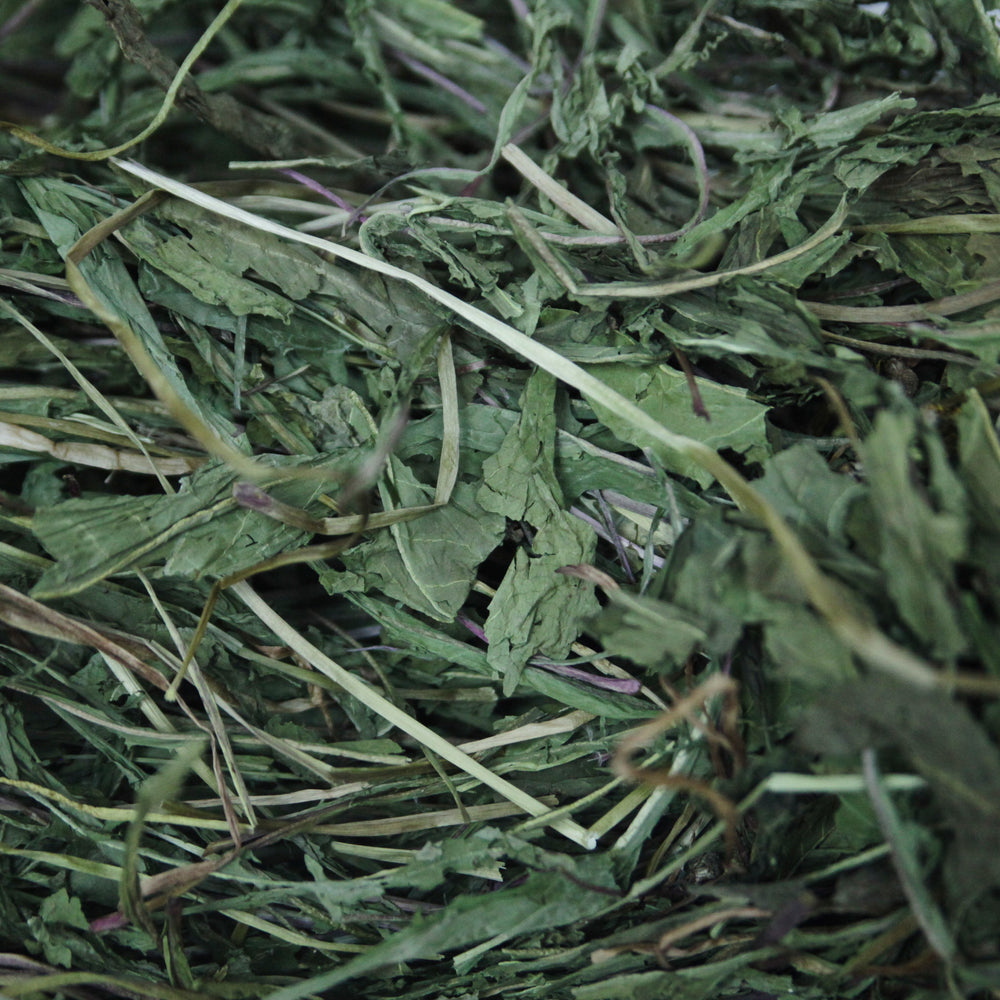 Dandelion Leaf (uncut)