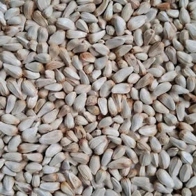 Safflower seeds