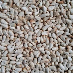 Safflower seeds