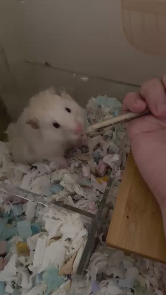 Gentle Tummy Mash
