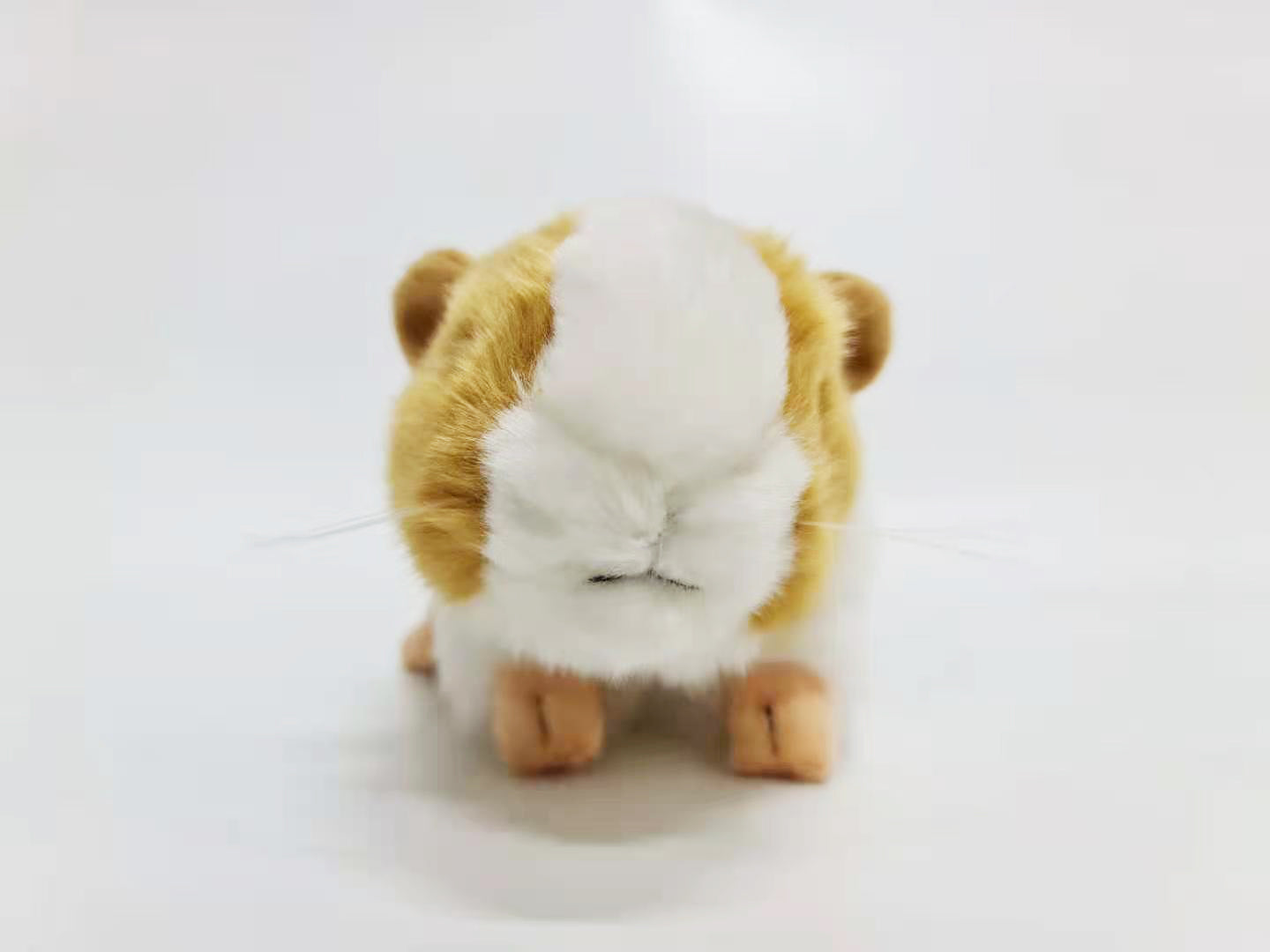 Guinea Pig Toy