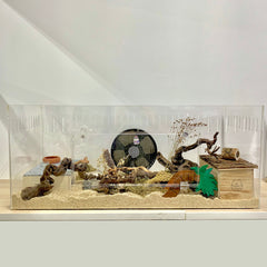 PREORDER Clear Acrylic Tank without Lid for hamsters (Multiple sizes with 5mm thickness)