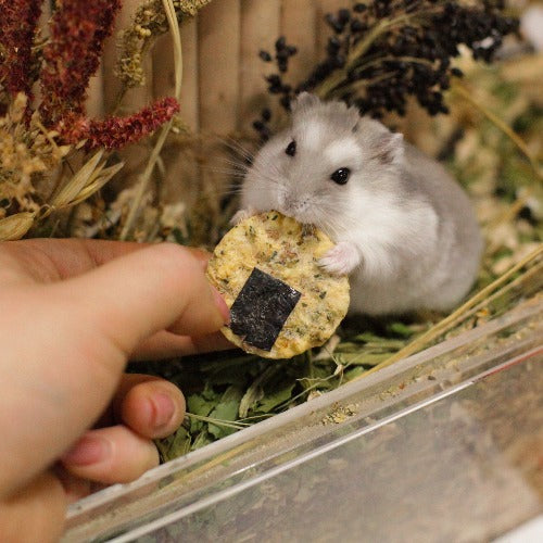 Chicken and Pumpkin Onigiri