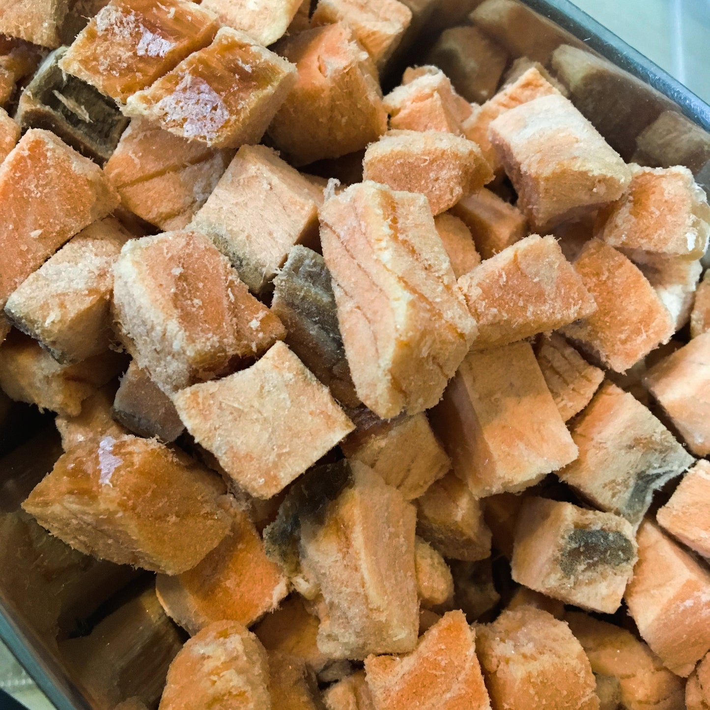 Freeze Dried Salmon Nuggets