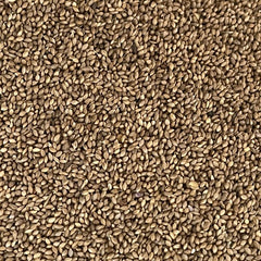 Organic Foniopaddy (Bird seed for birds)