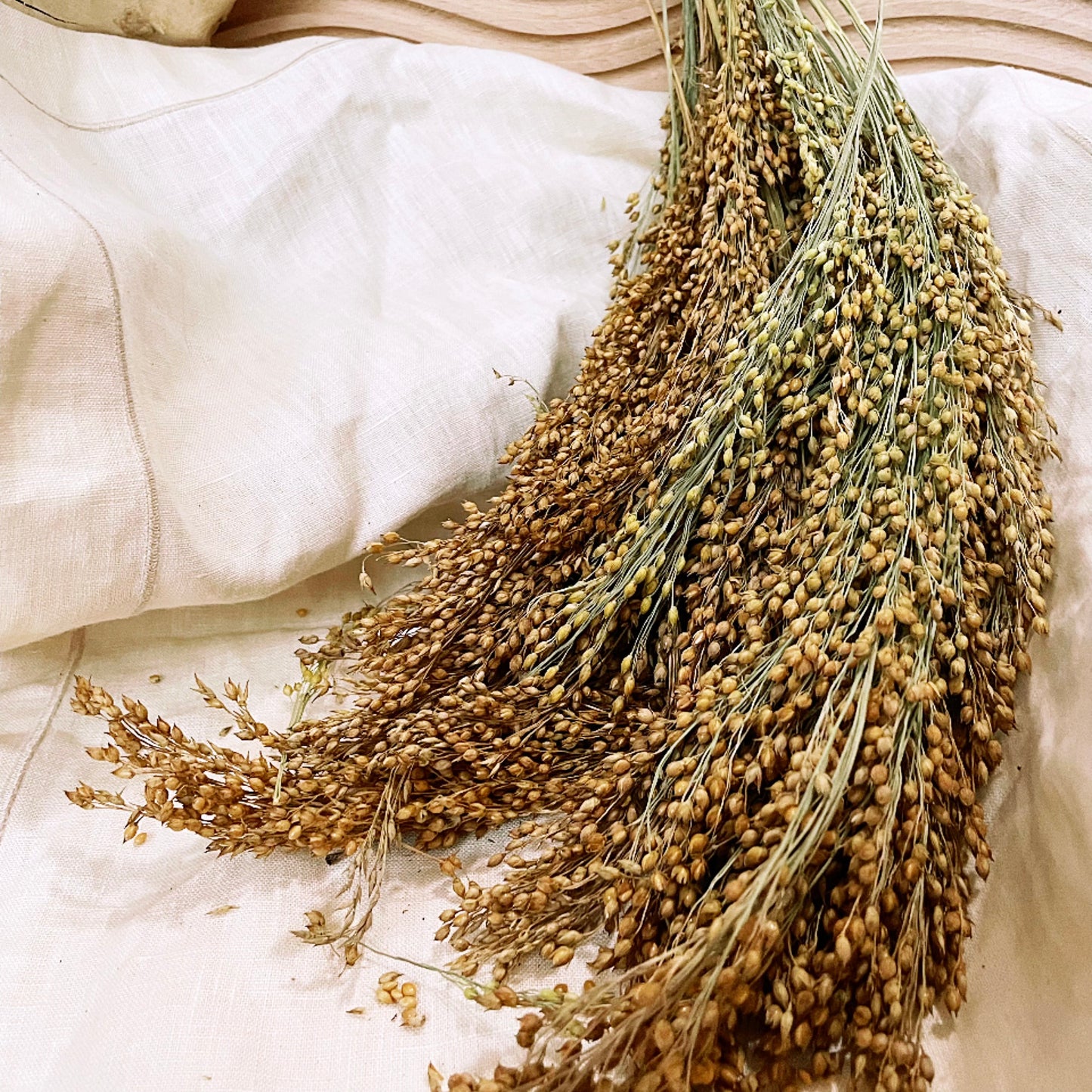 Organic Senegal panicle millet