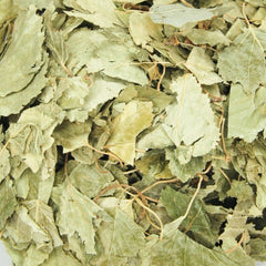 Birch Leaves