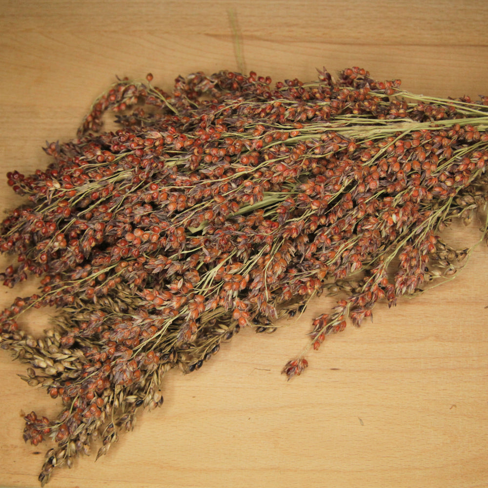 Organic Sudan Grass Sprays