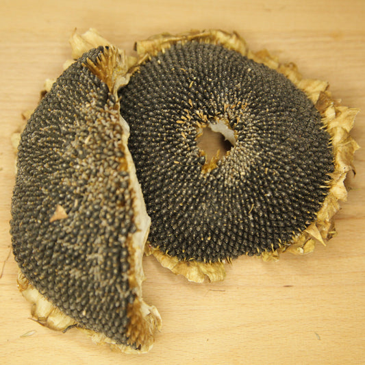 Organic Dried Sunflower Heads