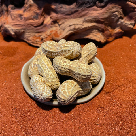 Peanuts In Shell