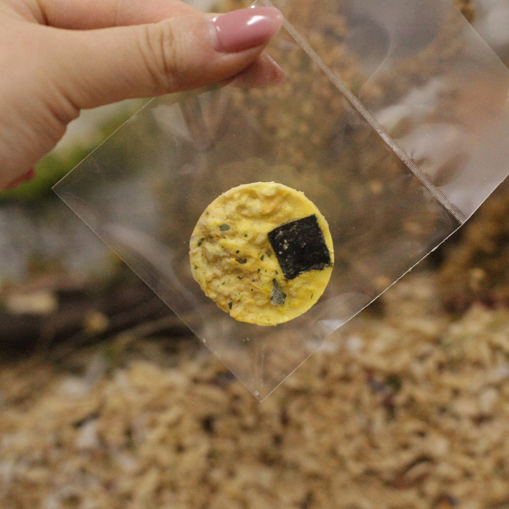 Veggie Onigiri