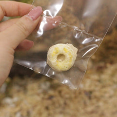 Mango and Tofu Cheesecake