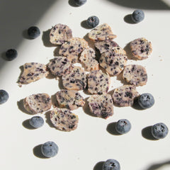 Blueberry Biscotti