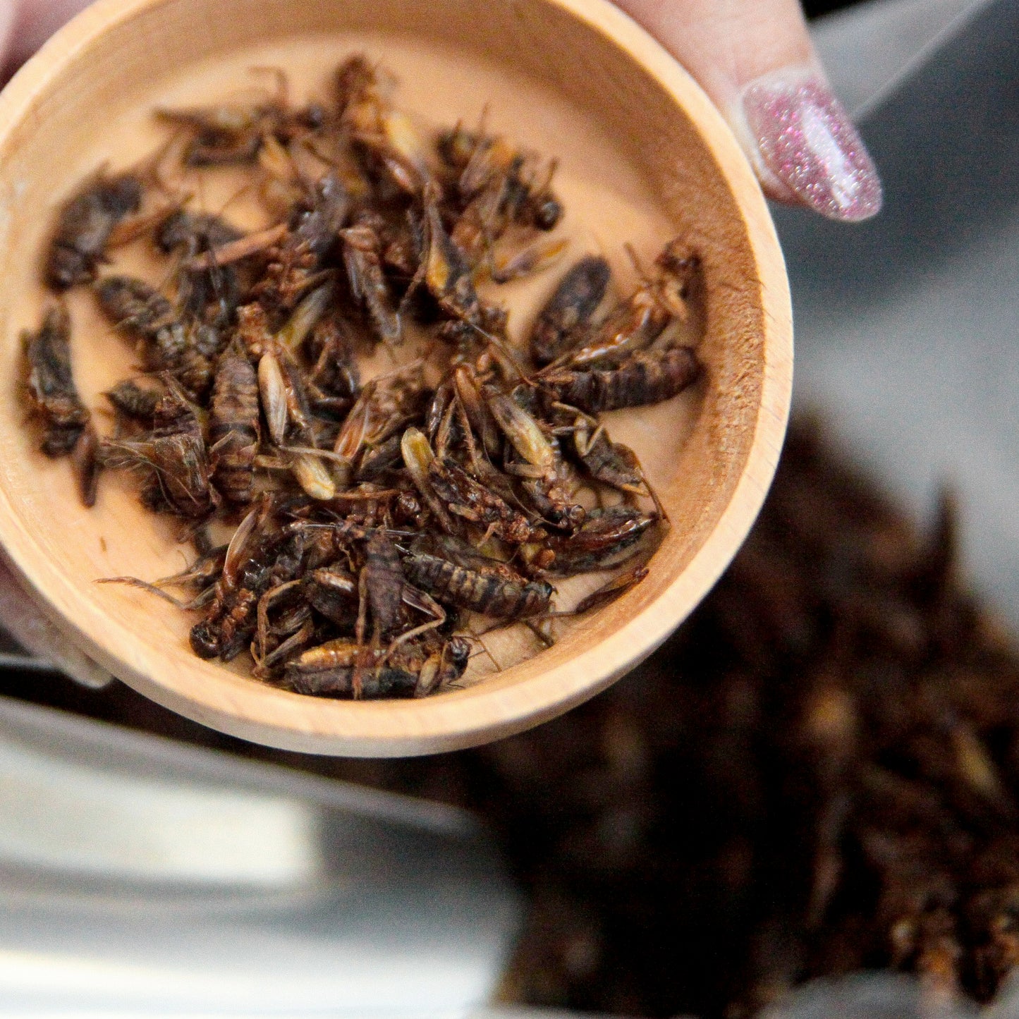 Dehydrated small crickets