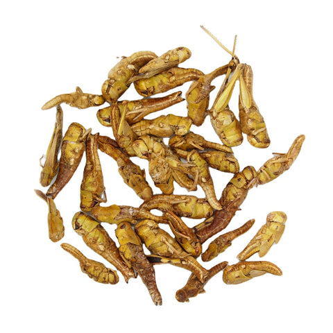 Freeze Dried Grasshoppers