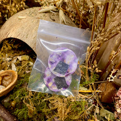 Chicken and Blueberry Onigiri